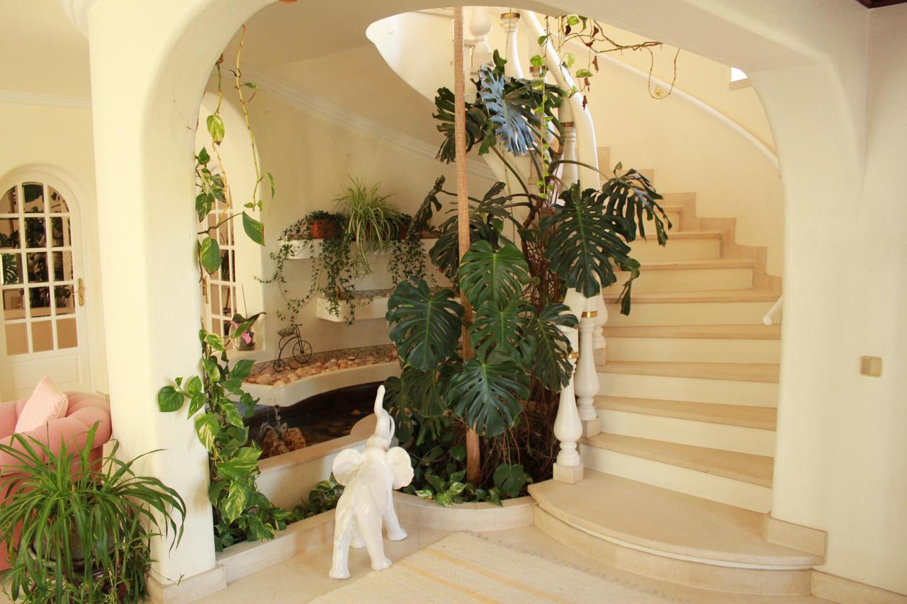 Bed and Breakfast Quinta Dos Oliveiras Carvoeiro  Exterior foto